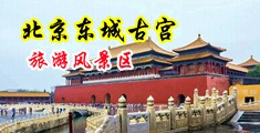 发个三级片啊操个baby放个三级片子操个小逼的逼中国北京-东城古宫旅游风景区